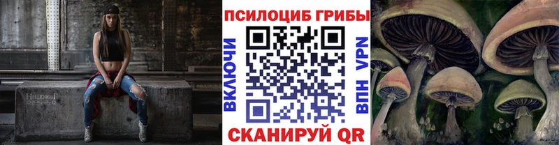 Псилоцибиновые грибы Psilocybe Воронеж
