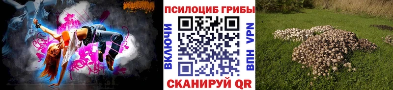 закладки Воронеж Галлюциногенные грибы MAGIC MUSHROOMS