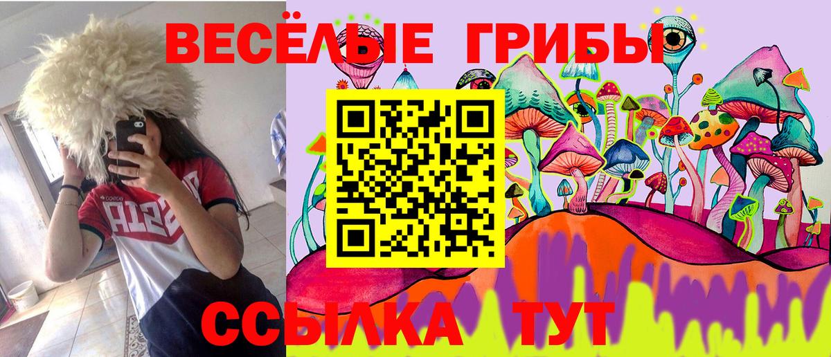 Галлюциногенные грибы мицелий  Вход с VPN  Воронеж 