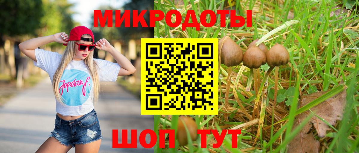 Псилоцибиновые грибы мицелий Воронеж